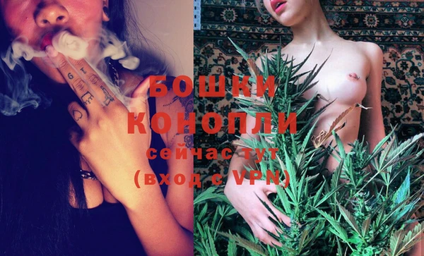 молекула духа Лихославль