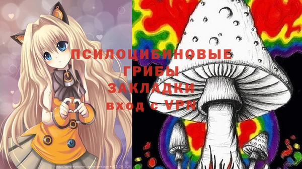 индика Вязники