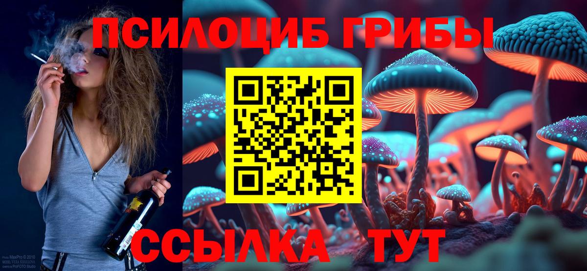 Псилоцибиновые грибы мицелий  Вход с VPN  Псилоцибиновые грибы прущие грибы  Лабинск 